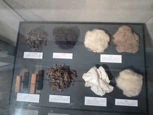 P1020955.JPG